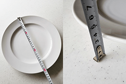 幅30cmの平皿が入るか実験｜メーカー別食洗機比較